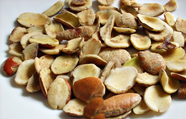 ogbono seeds ogbono seeds